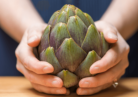 hands-holding-artichoke